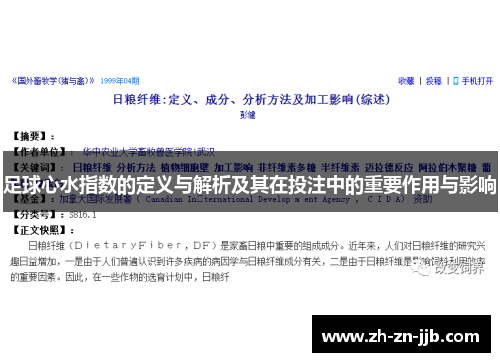 足球心水指数的定义与解析及其在投注中的重要作用与影响 足球心水指数的定义与解析及其在投注中的重要作用与影响