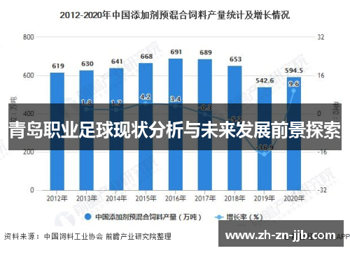 青岛职业足球现状分析与未来发展前景探索