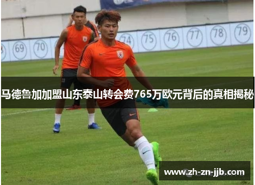 马德鲁加加盟山东泰山转会费765万欧元背后的真相揭秘
